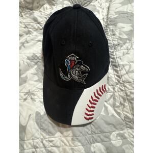 Beloit Sky Carp Bimm Ridder Black Cotton Twill Youth Jersey Hat